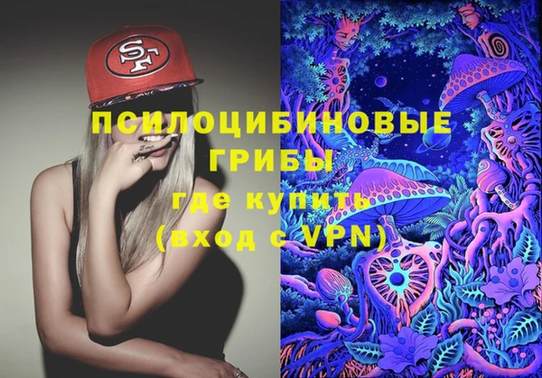 прущий лед Дмитров